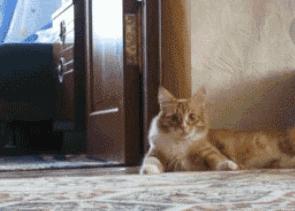 打嗝不停怎么办教你一招快速止嗝,1岁6个月宝宝打嗝怎么办快速止嗝