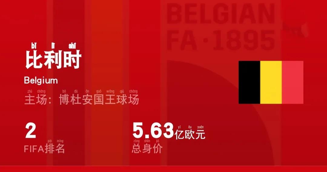 阿根廷卡塔尔世界杯26人名单身价,卡塔尔世界杯身价排名第一