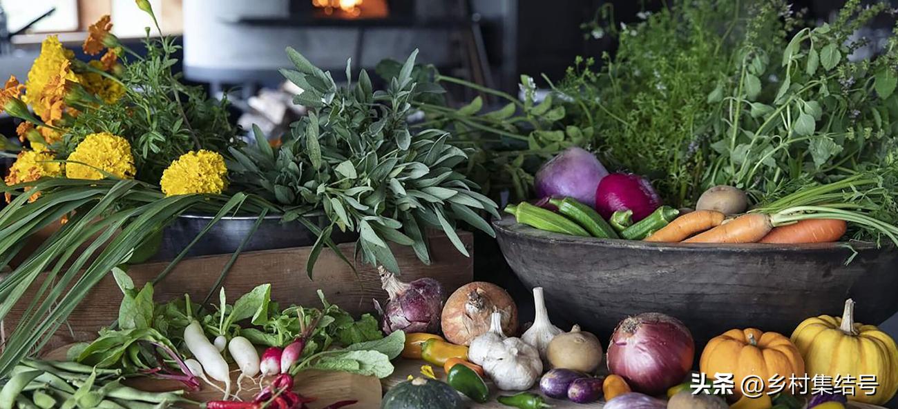 日本农业大县探寻乡村振兴新路,日本家庭农场农业模式