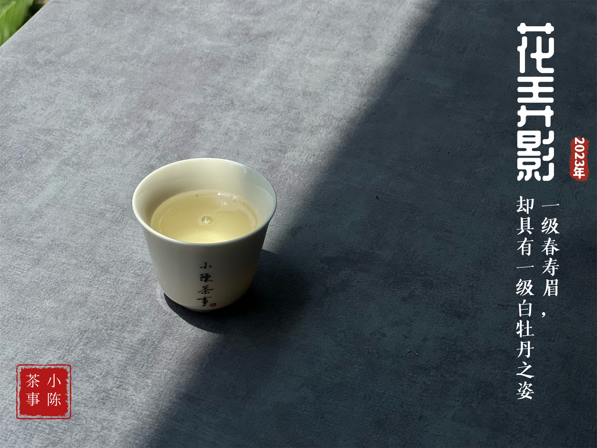 现在喝白茶的价目表,新手入门级白茶推荐