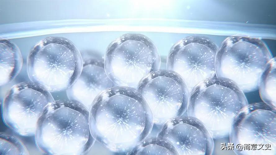 转基因兔子怎么生产,转基因克隆与胚胎发育的表现