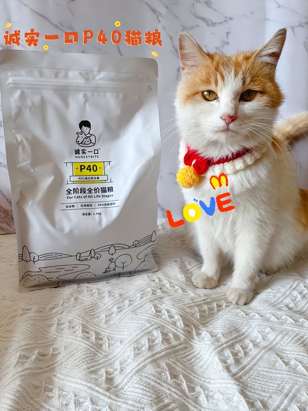 馋不腻猫粮口碑为什么那么好,口碑最好的十大猫粮排名榜测评