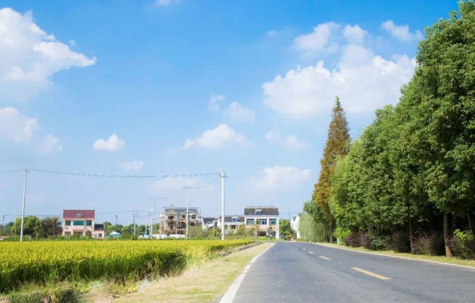 母亲再三叮嘱我回村不能开车，参加邻家婚宴后，终于明白其中奥秘