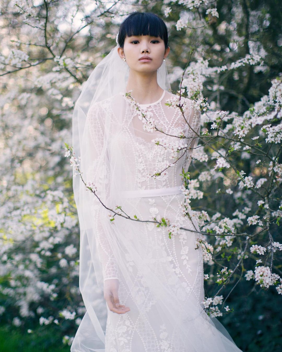 eliesaab婚纱高定2023,黎巴嫩eliesaab仙女裙高定