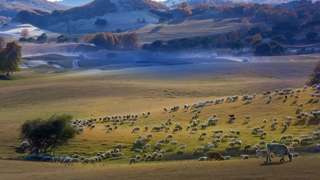 悬念揭晓在即,悬念揭晓视频