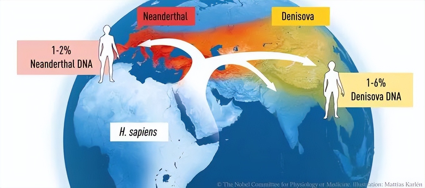 糖尿病领域诺贝尔奖,诺贝尔医学奖对医学生的启示