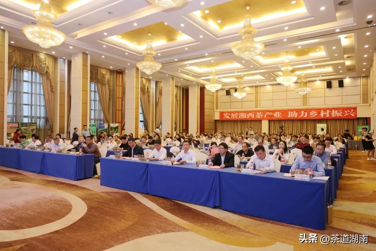 湖南长沙县春茶,2022湖南春茶总结