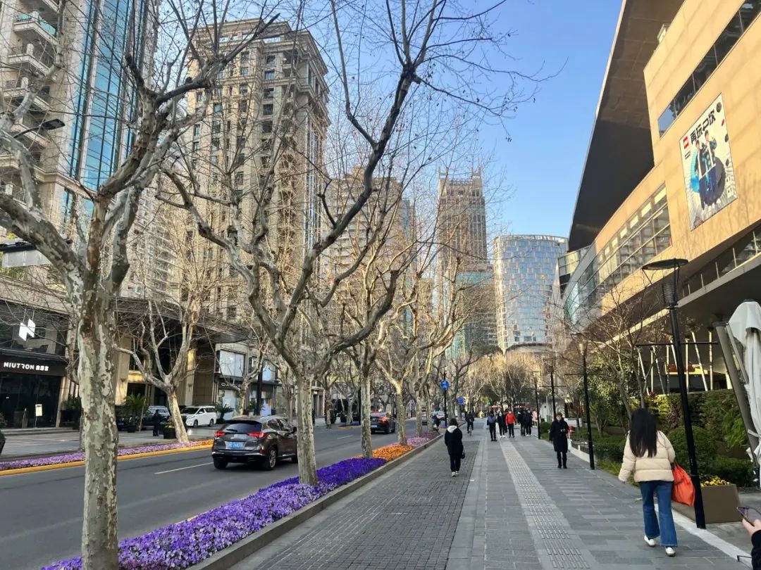 翠湖天地为什么要平移老洋房,翠湖天地为什么算豪宅