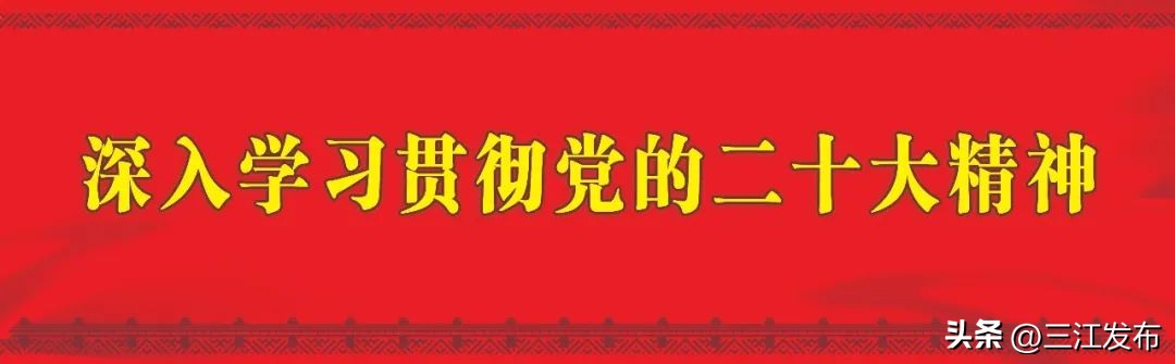 新时代新征程新成就大作为,凝心聚力抓产业促发展