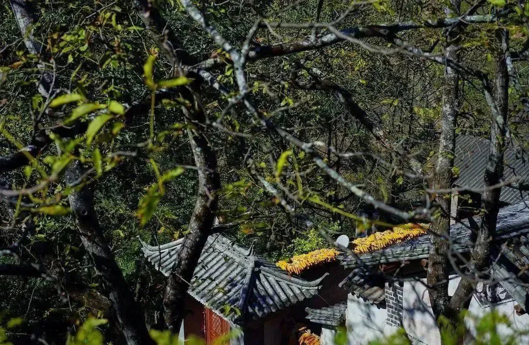 来云南大山中寻中国绝美古村落,云南9个被人遗忘的古村落