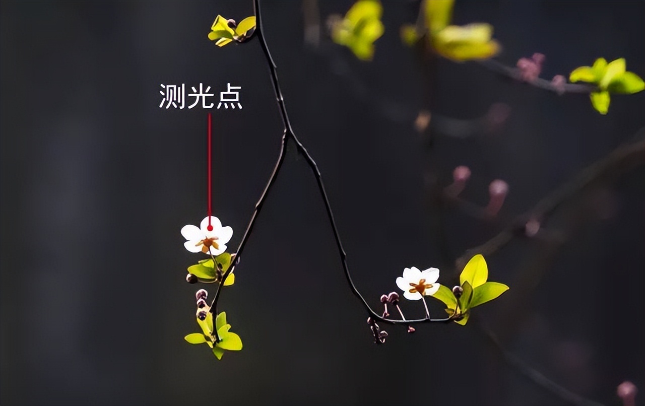 黑色背景高级感视频怎么拍,手机壁纸黑色系高级感