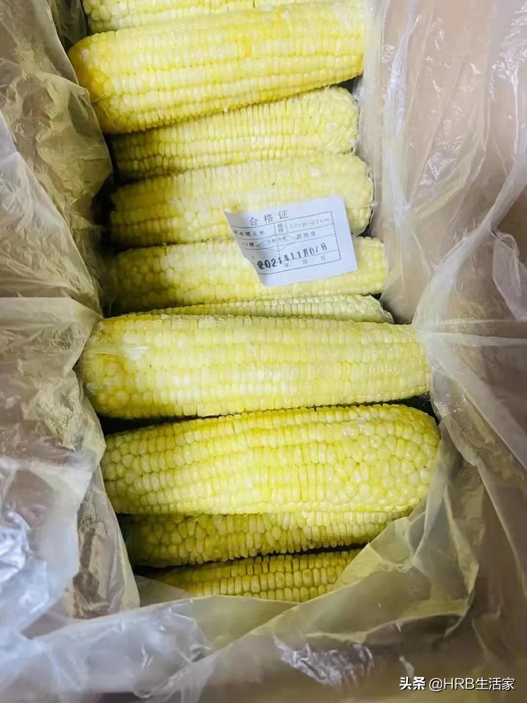 海伦富硒糯香10号一等甜玉米,直通原产地