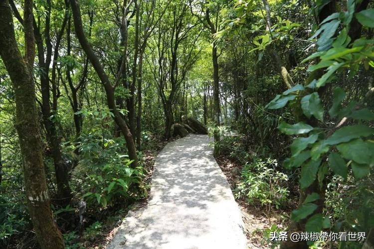 海岸线：邂逅*江阳**——感受这座慢节奏小城文化底蕴感悟人文之美