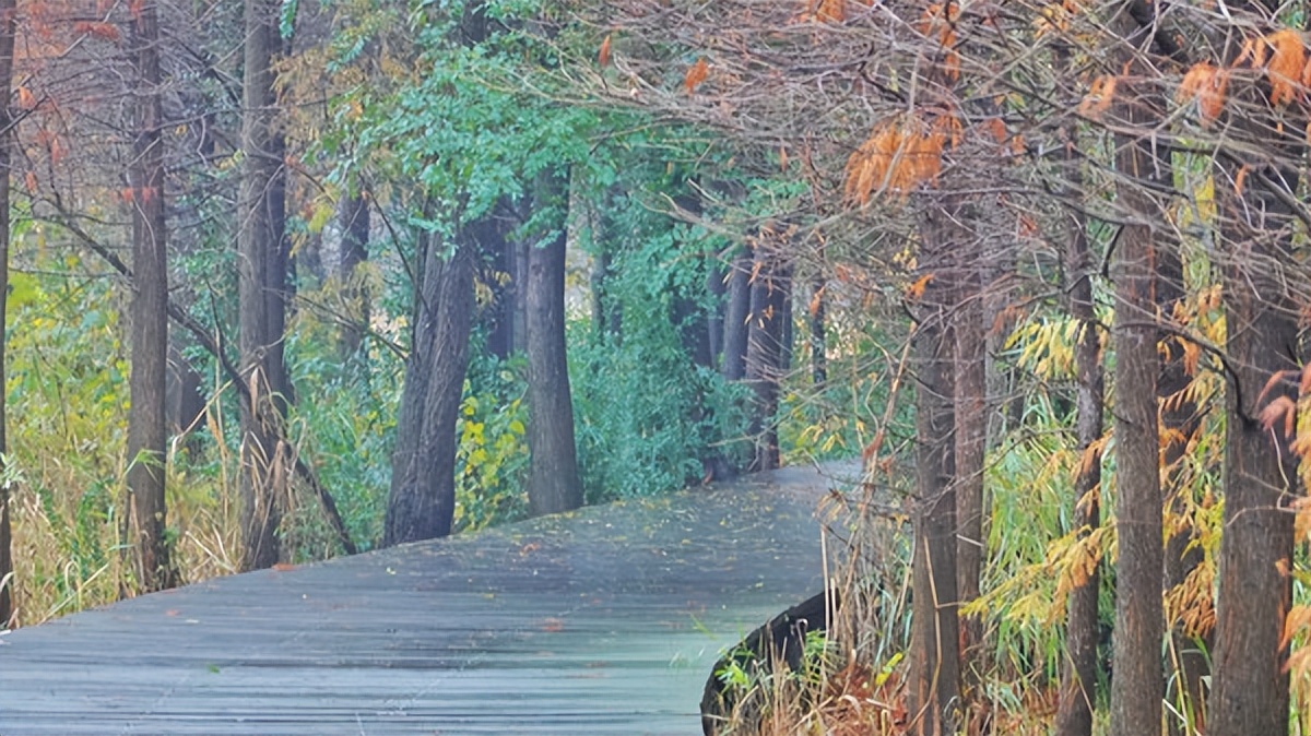 在江苏的“绿林仙海”中，寻找侠气与柔情