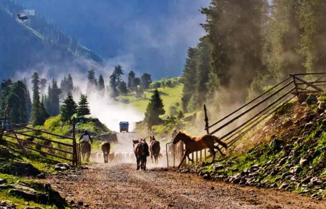 这条惊艳奇绝的公路,行走在天山脊梁上的最美景观公路