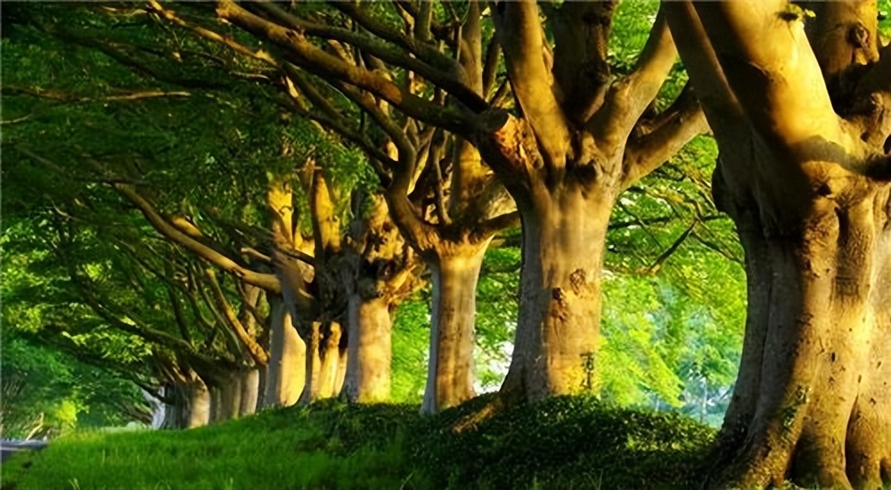 想得开的秘密：我们眼界大了，心就宽了。我们站得高了，事就小了