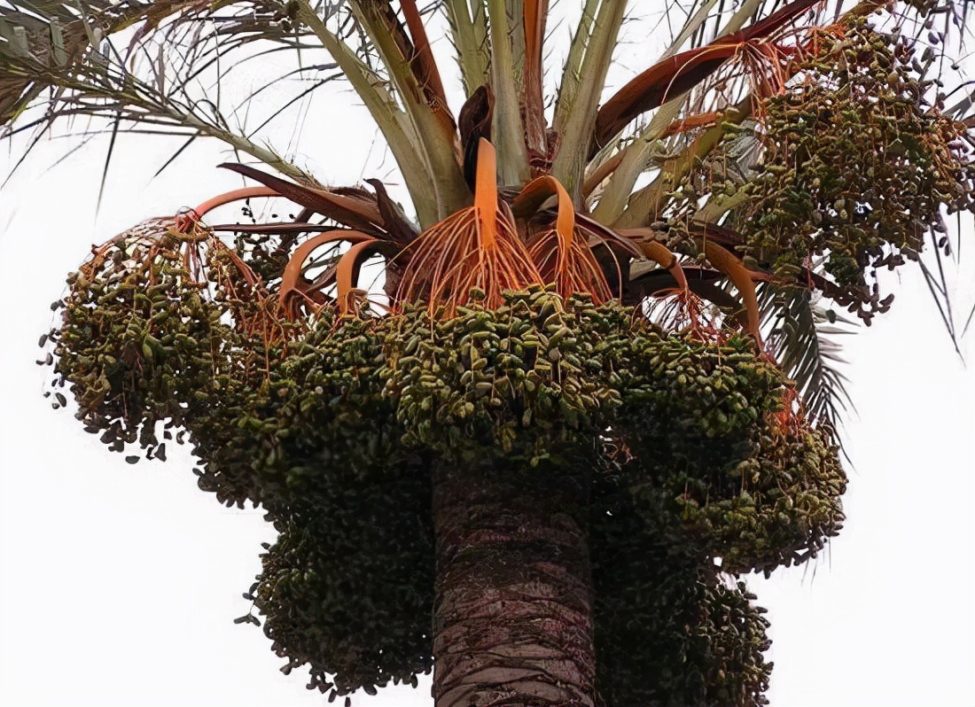 方便面不健康是因为面饼还是调料,为什么说方便面不健康