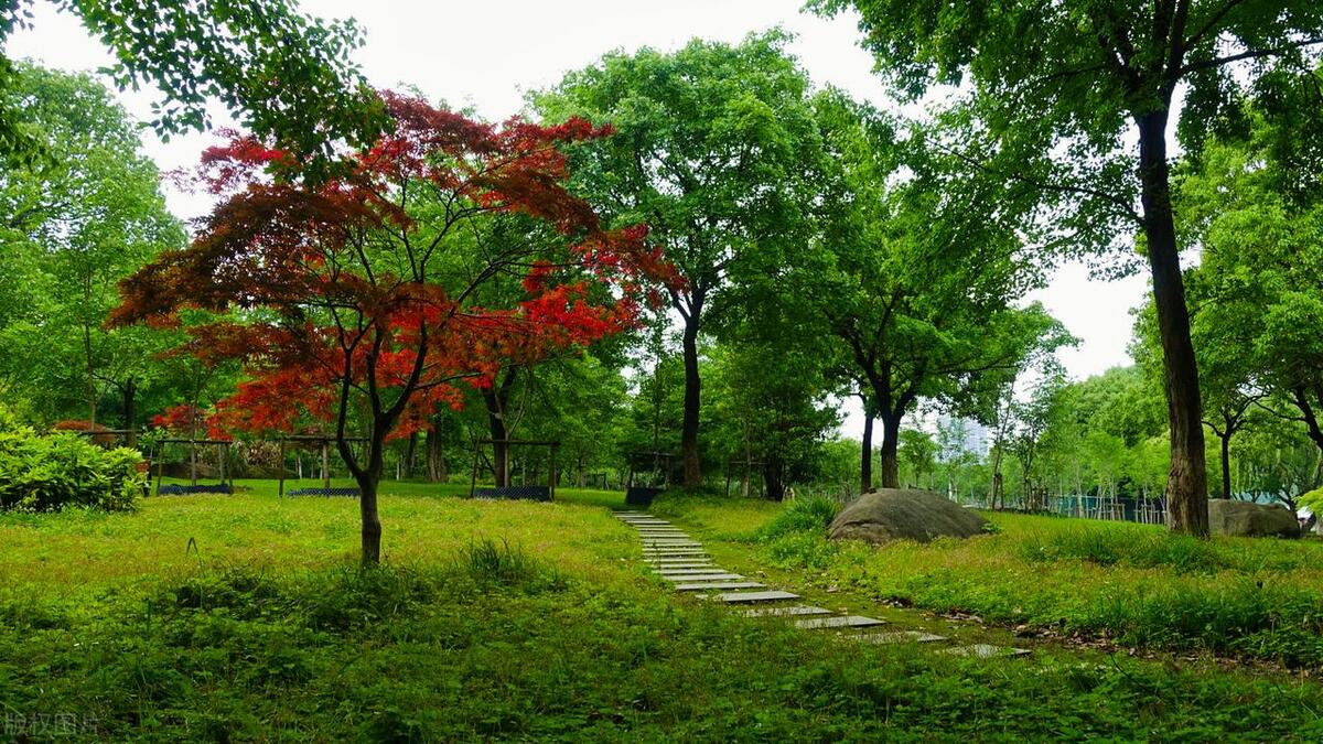 苏州过年免费旅游景点,苏州古镇免费景点大全