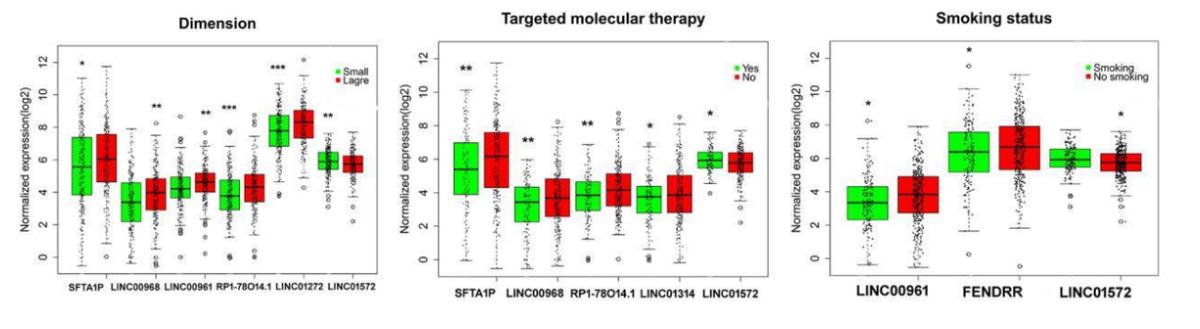 毛滴虫性妇科炎症甲硝唑,治毛滴虫用甲硝唑好还是替硝唑好