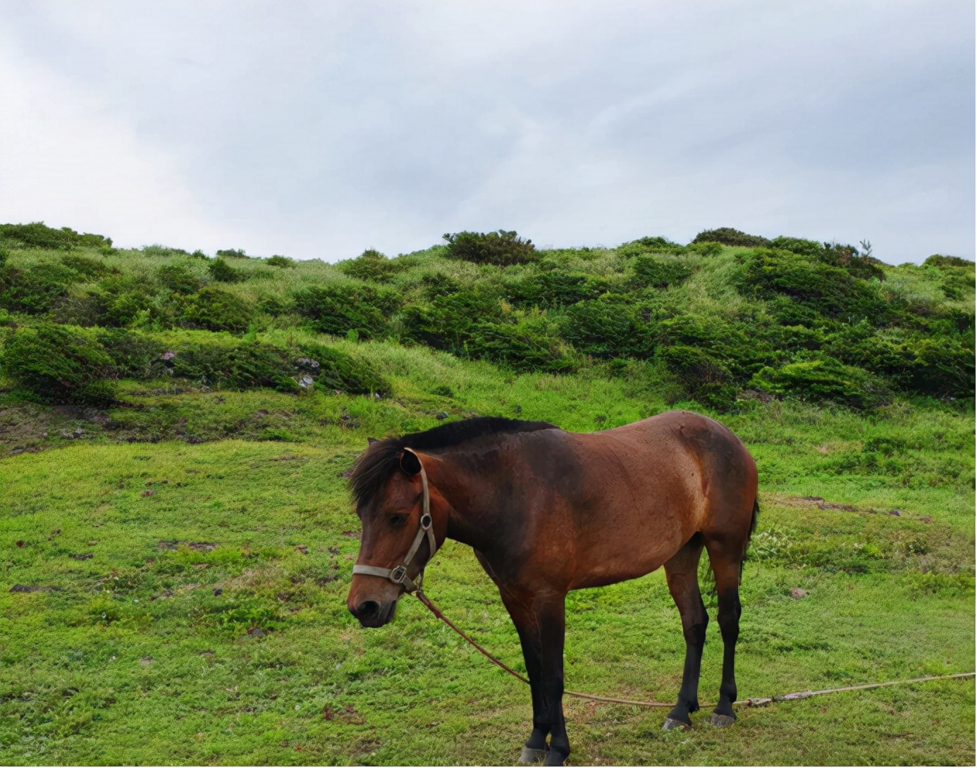 济州岛什么时候正式成为韩国领土,韩国的济州岛相当于中国什么地方