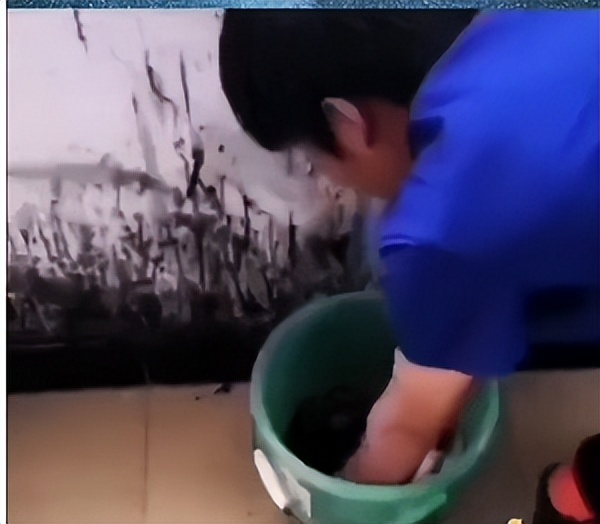 砸1亿买楼、名下多家公司…疯狂小杨哥的资产到底有多惊人?