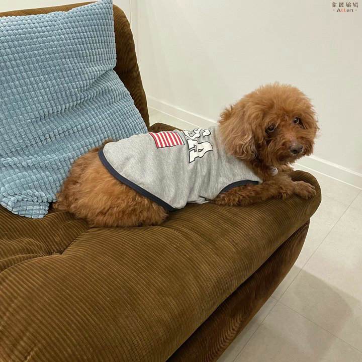 高度自律的生活是什么样的,高度自律生活