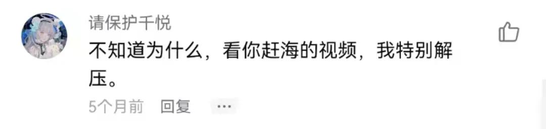 解压视频赶海挖东西,赶海的解压视频