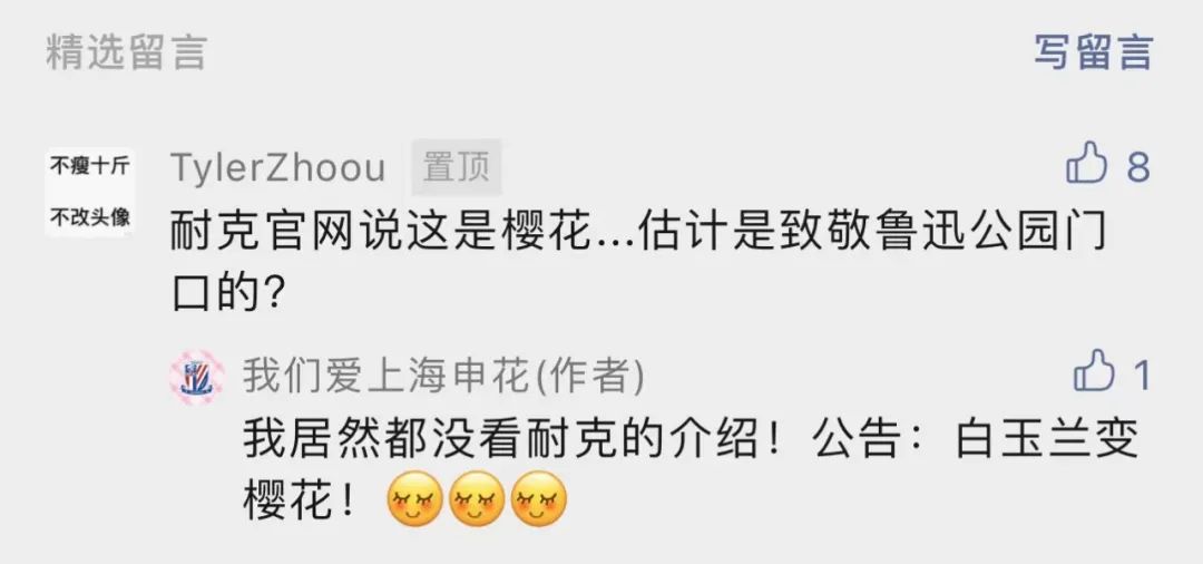 申花球衣最新款,申花最新款球衣是哪一款