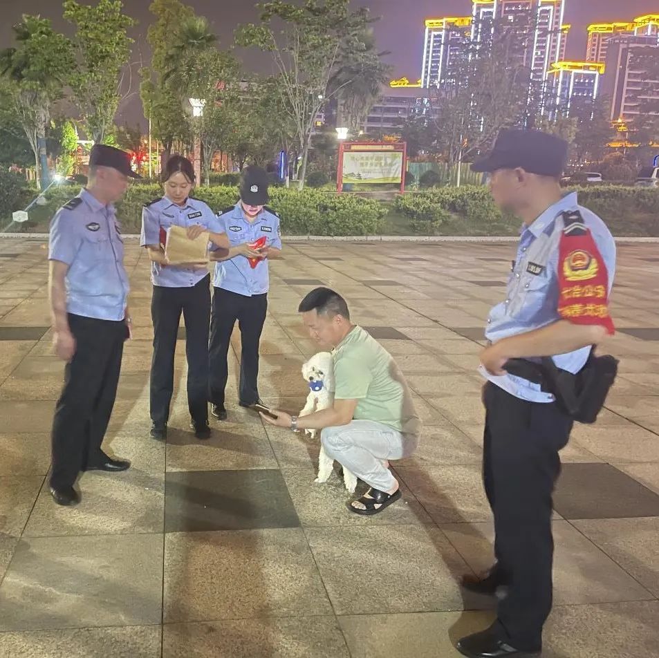 文明城市因不文明养犬被处罚,抚顺整治不文明养犬