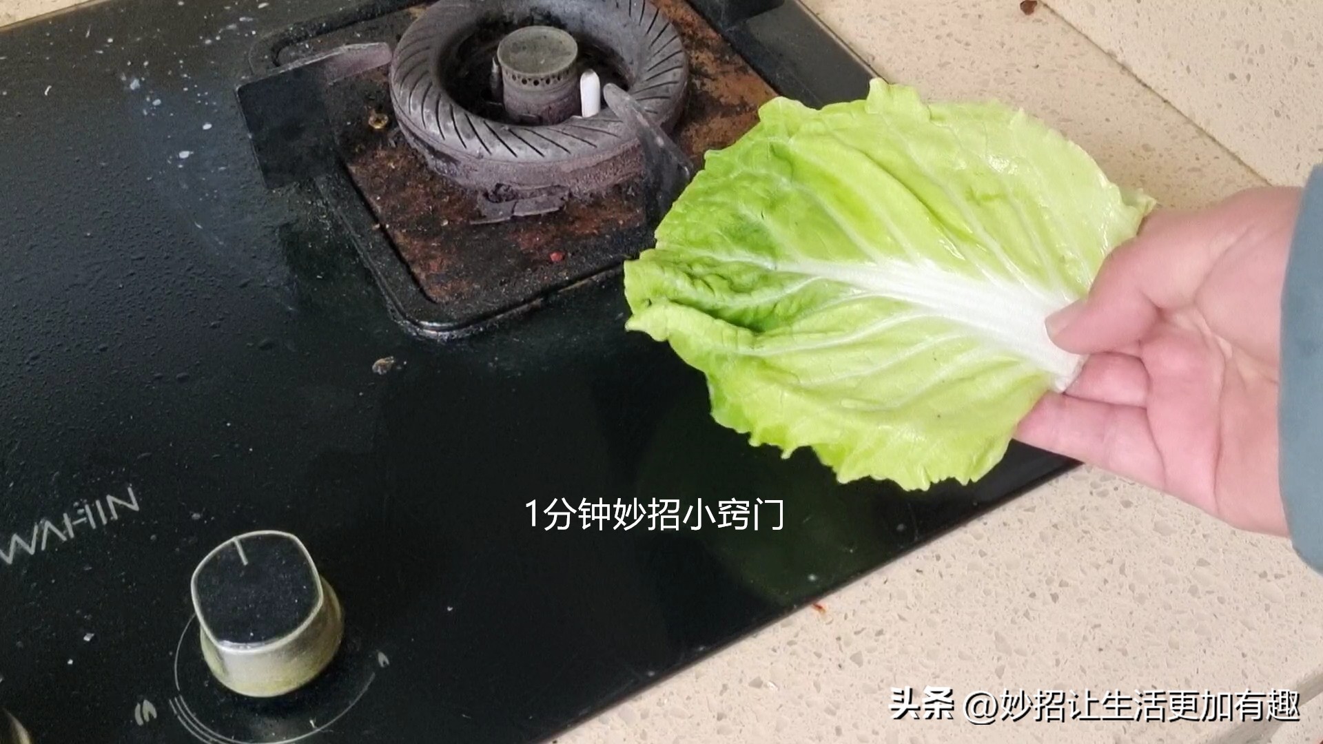 用白菜叶擦油烟机,油烟机上的白菜叶怎么清理