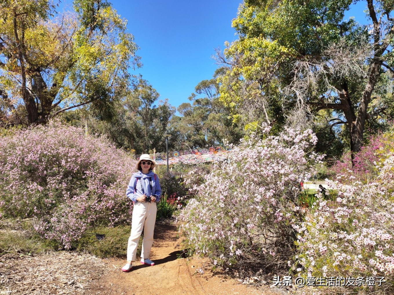 一路向北全程1980公里,西澳自驾游最佳路线图