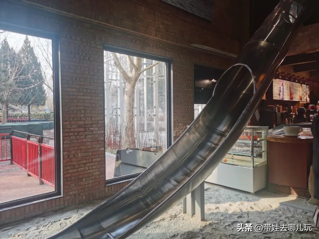 一天玩遍北京野生动物园,包场去鸟巢