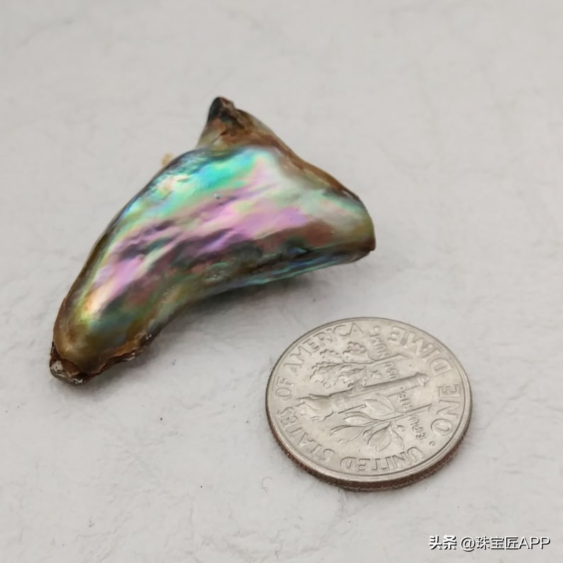 烧烤鲍鱼成品,鲍鱼里面也有珍珠