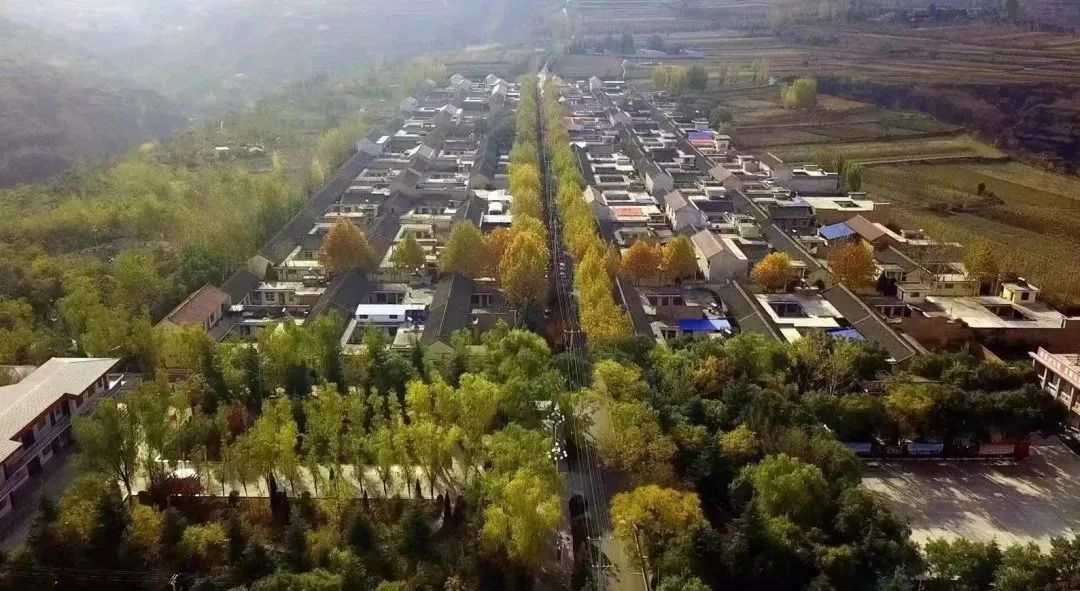 大山里的民宿原生态旅游,浙江藏在大山深处的民宿