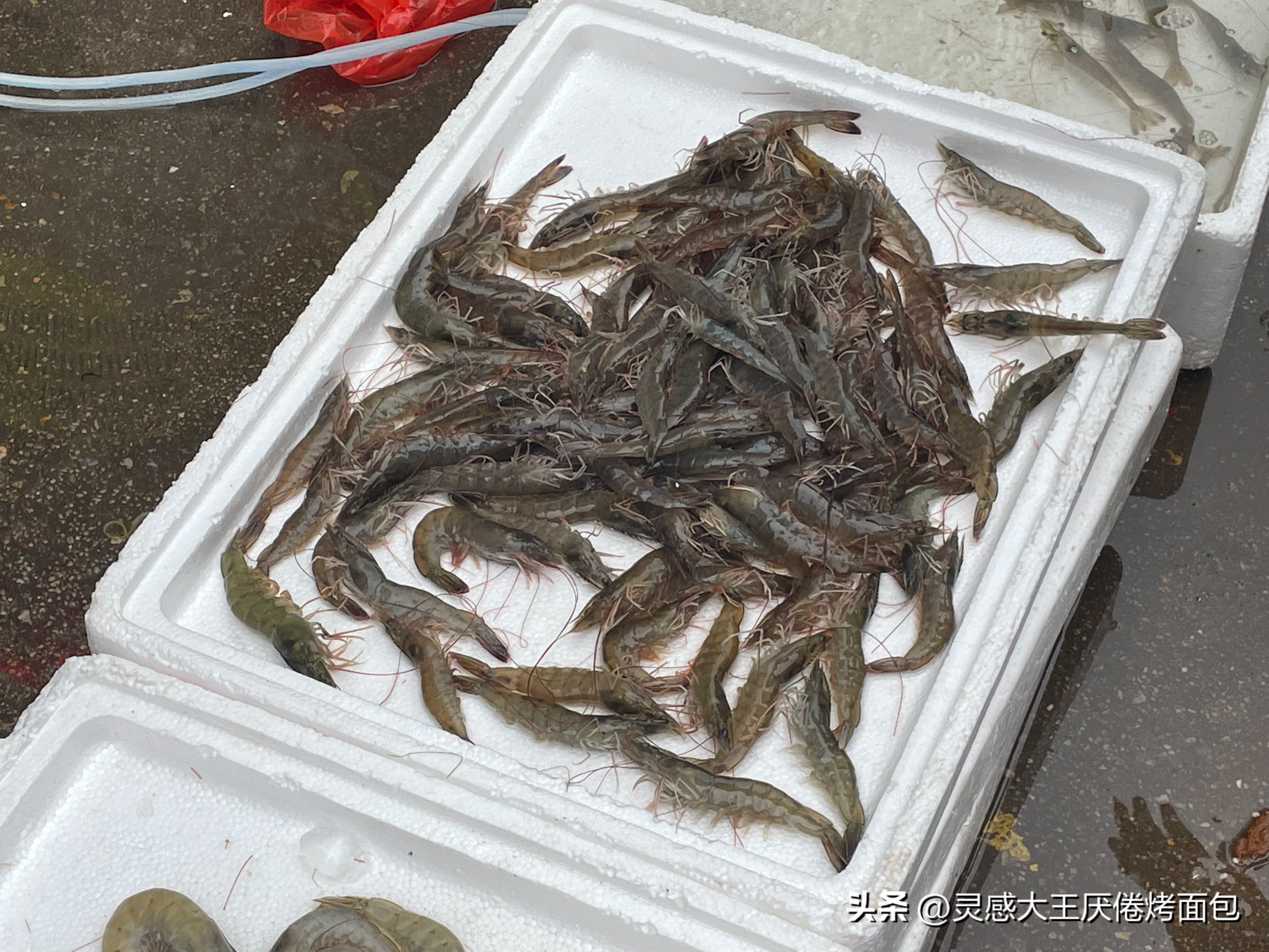 海南万宁有哪些大型农贸市场,海南万宁和乐菜市场