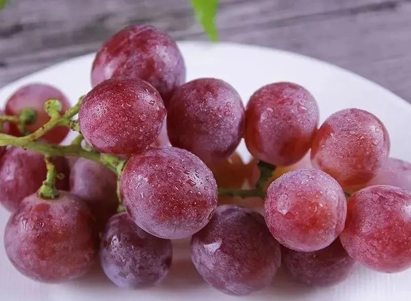 种植葡萄的前景怎么样,2023年种哪种葡萄有前景