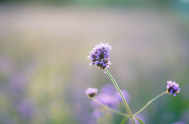 年轻爸爸和不到一岁的宝宝有错吗？从单元被封说起