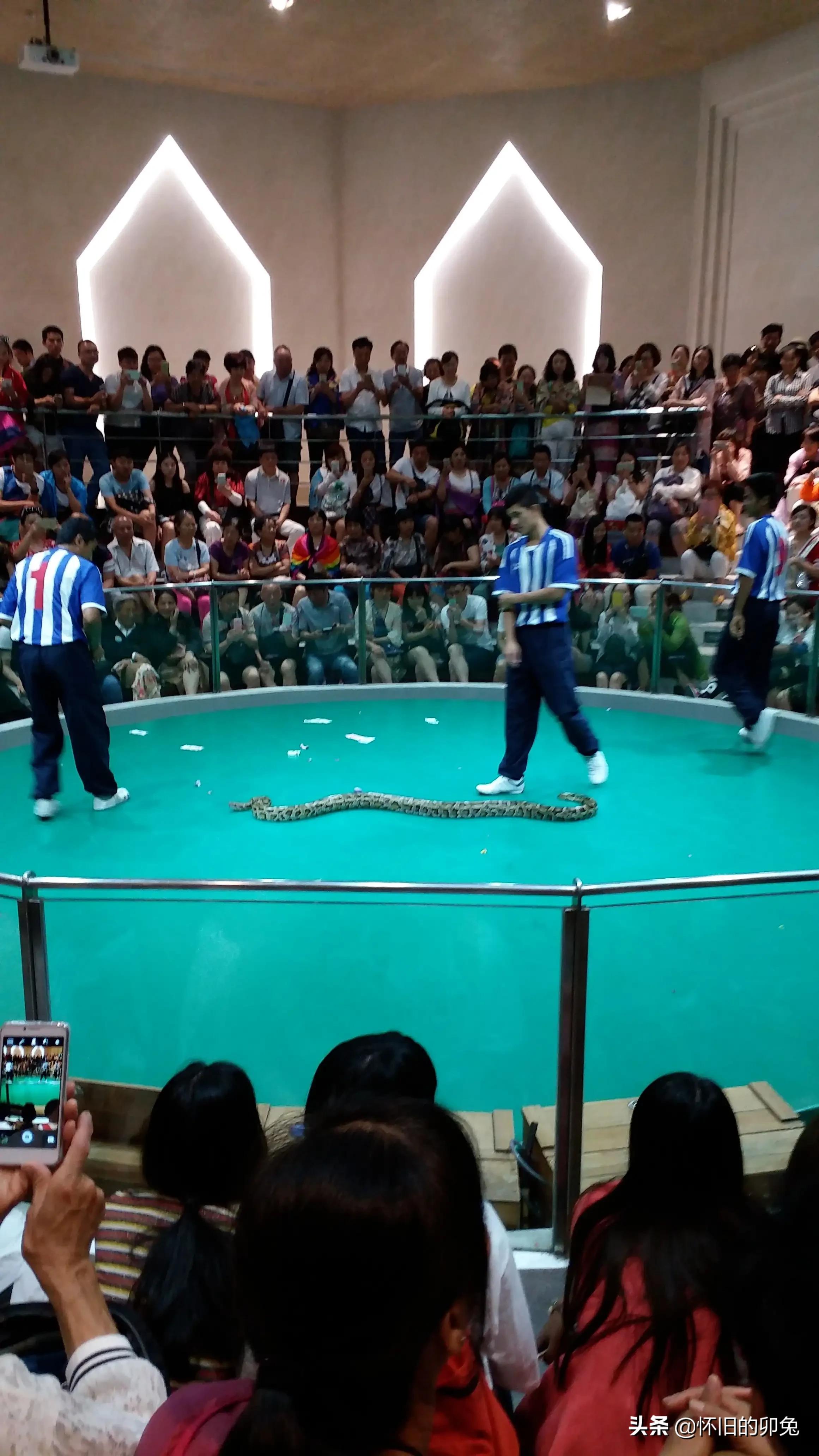 出境游泰国热度仍居前列,独自出国旅游泰国