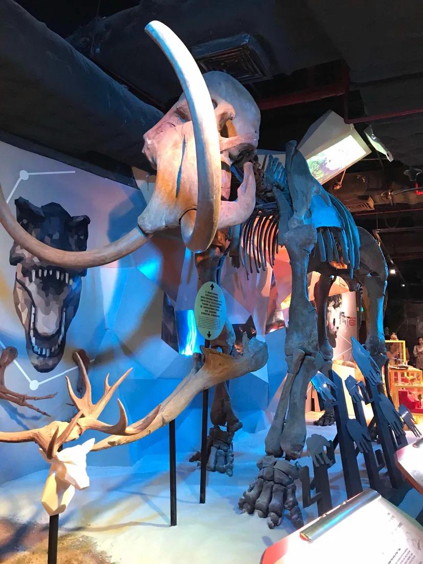 广州儿童节去哪里玩最好玩,广州周末小孩子最爱玩的地方