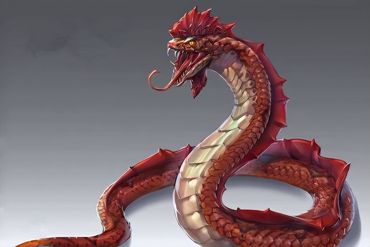 虎斑游蛇鸡冠蛇毒性大吗,十堰最近发现的鸡冠蛇