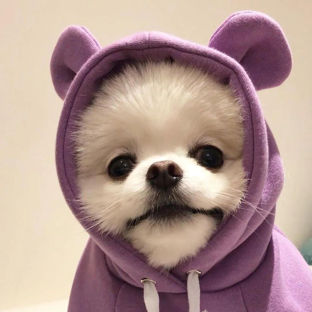 寰崥鐢风敓澶村儚,鏄庢槦寰崥澶村儚