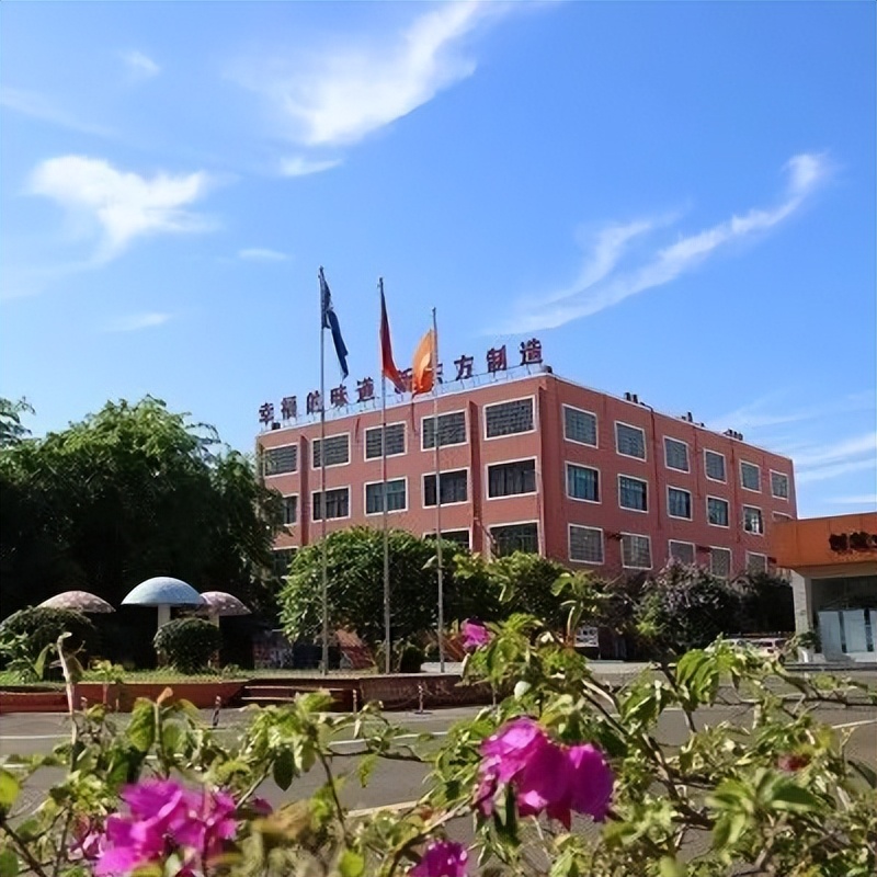 秋季报名火热进行中|十大理由告诉你,择校为什么选择海南新东方