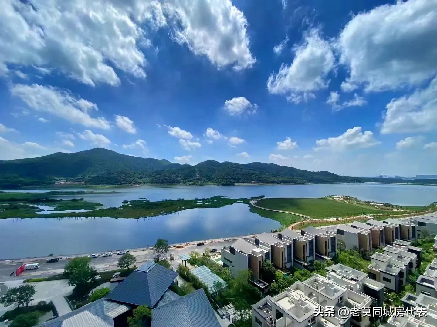 保利房子首付98万,保利资金链问题