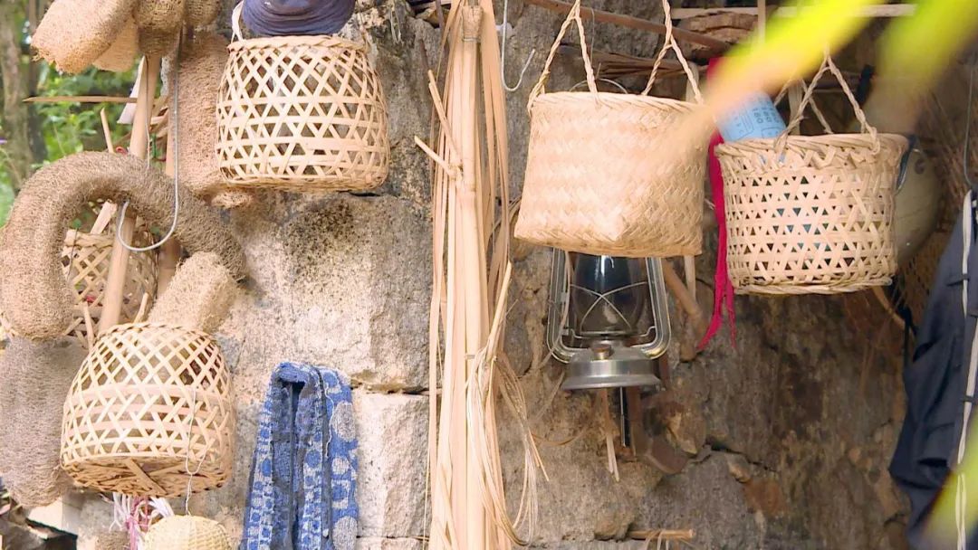 竹山县培育壮大竹产业,竹产业资源整合