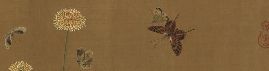 每种蝴蝶的寓意和象征,院里飞来一只黑花蝴蝶什么寓意