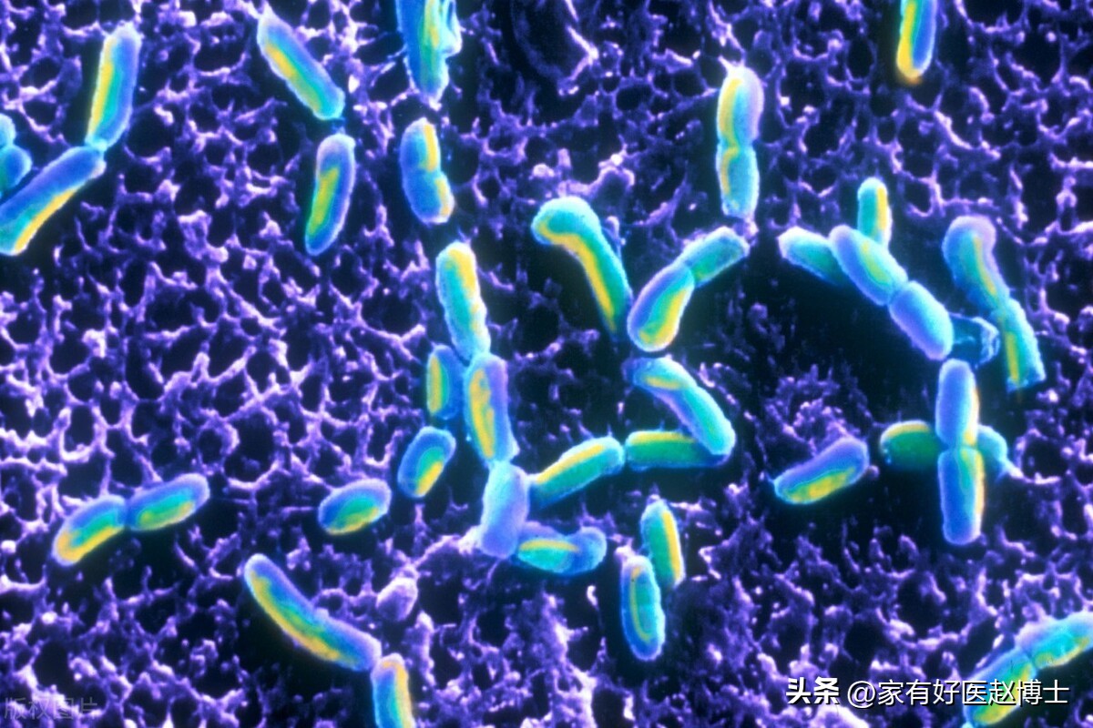 腹泻过后吃黄连素仍然肠鸣拉肚子,一直拉肚子吃黄连素有用吗