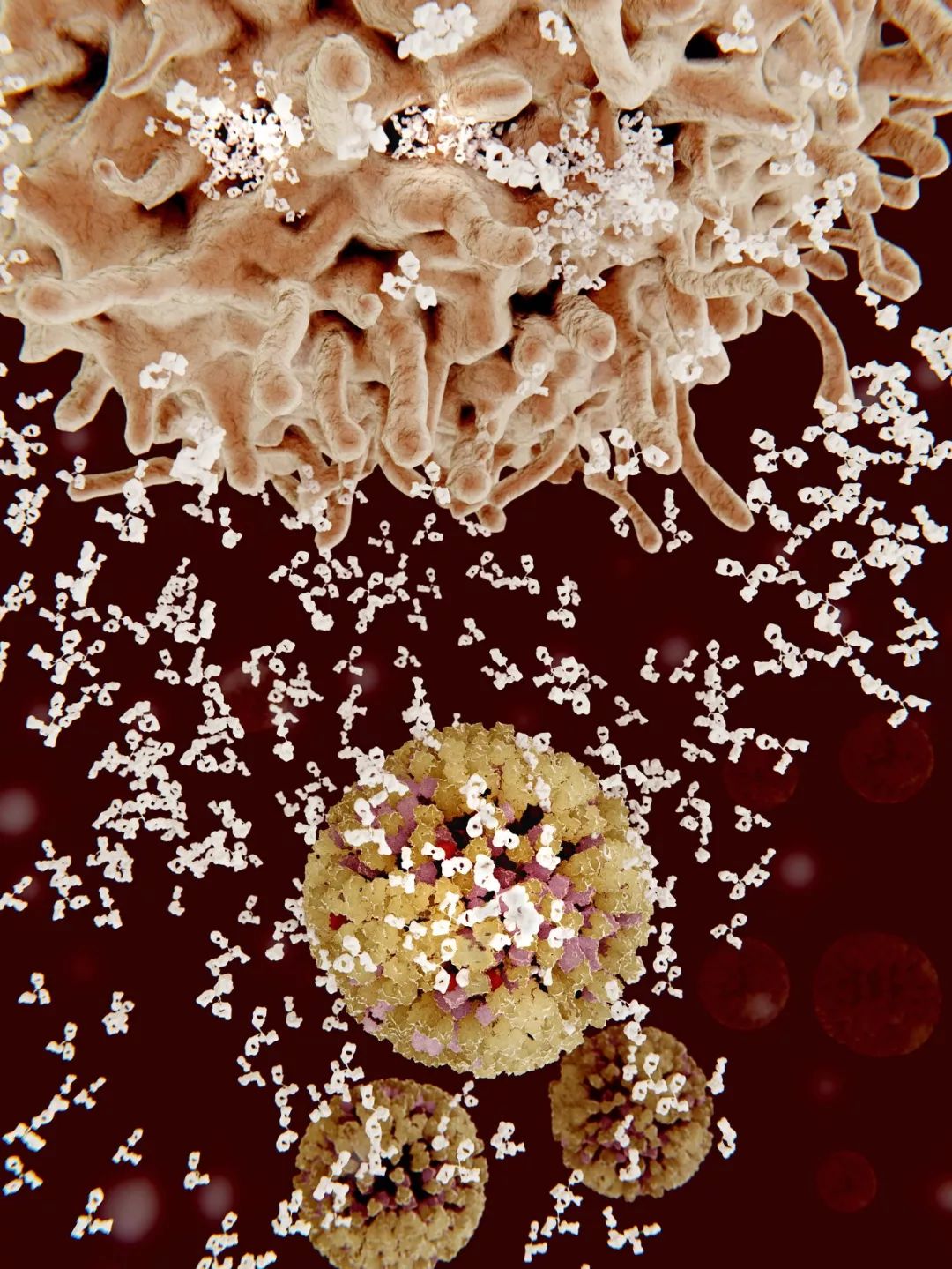 致与病毒搏斗的你！