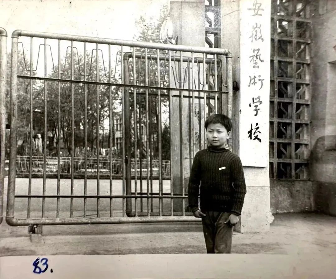 梅花香自苦寒来桐城,梅花香自苦寒来秦淮梅园