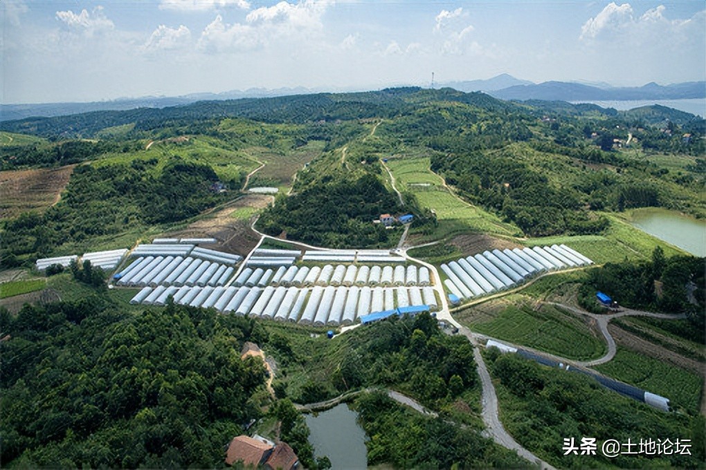 国家扶持农村创业项目大全,农村创业最新项目有哪些