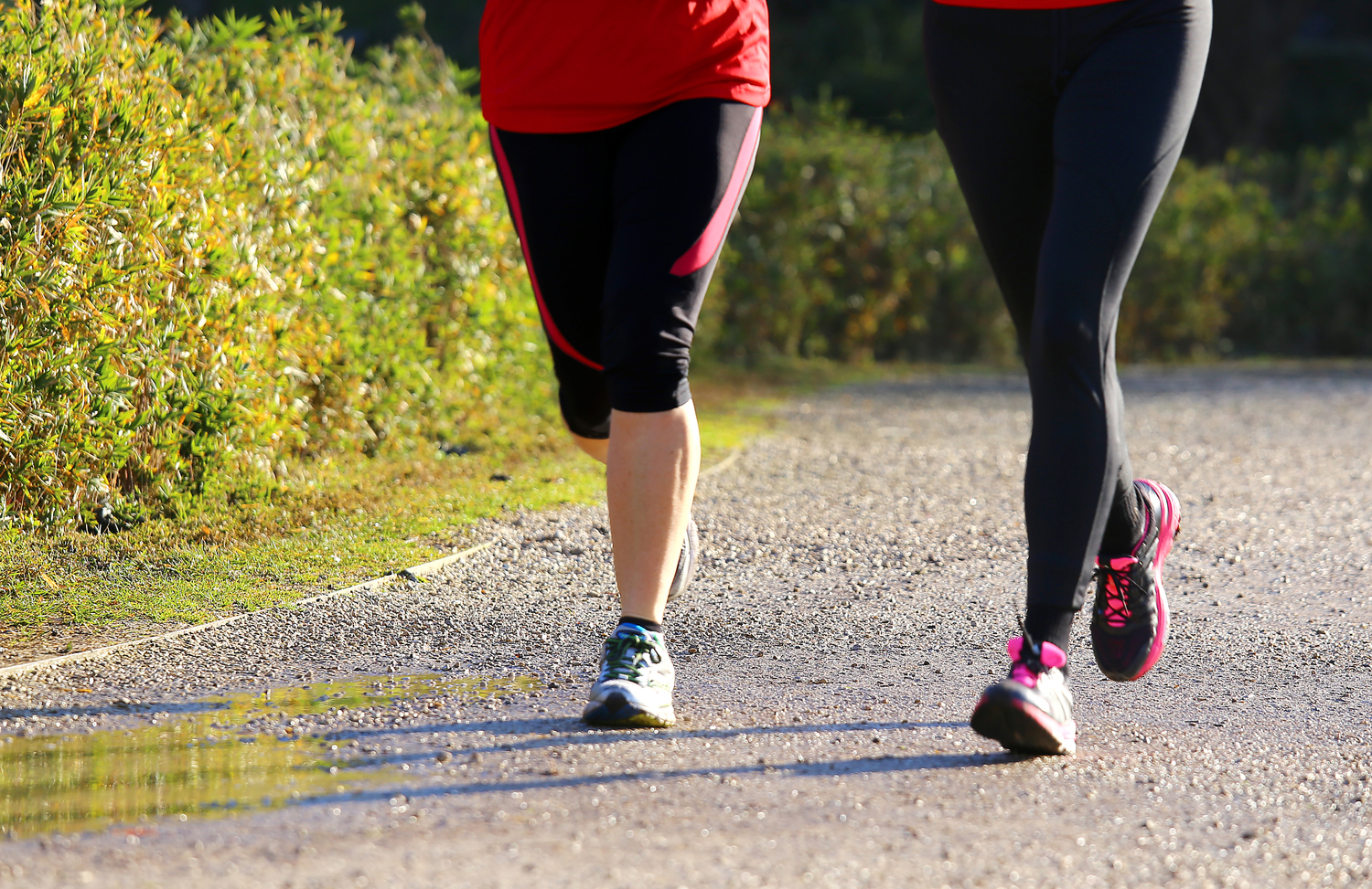怎样养成易瘦体质的秘诀,养成易瘦体质秘诀食谱